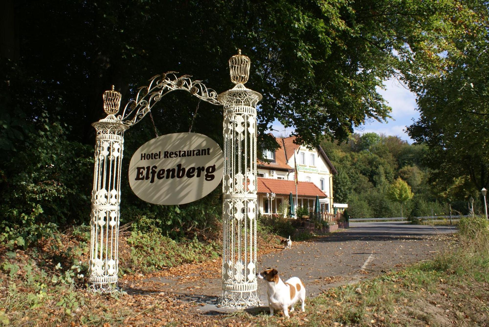 Hotel Elfenberg Schieder-Schwalenberg Eksteriør billede